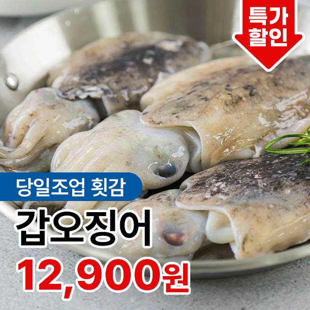 당일조업 횟감 통찜 가능한 자연산 갑오징어 활 생물 1kg 