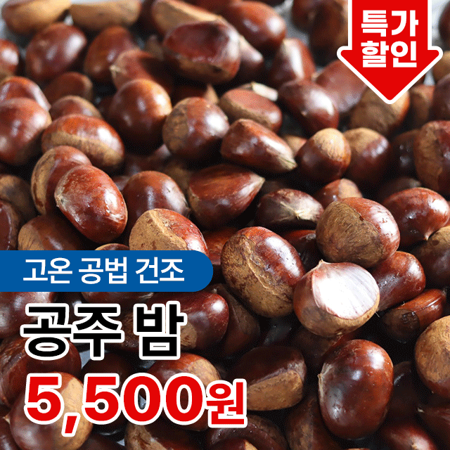 25년 황금 햇밤 공주밤 정안밤