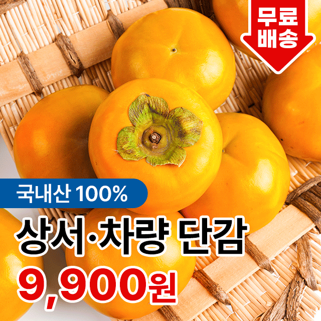[전청프레시]입안 가득 담기는 신선함! 가을의 달콤함을 품은 국내산 단감