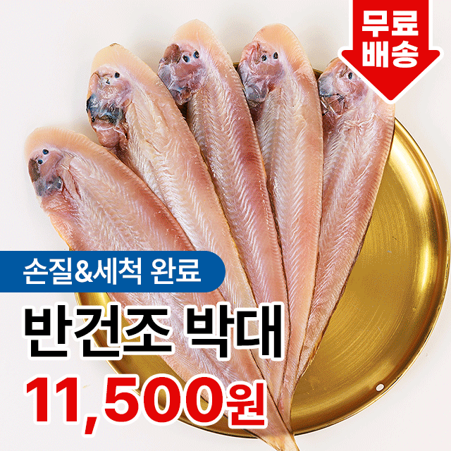 촉촉한 쫄깃한 식감 군산 반건조 박대 5미