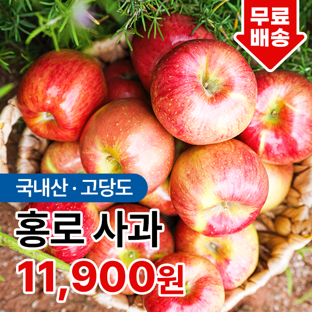 25년 고당도 햇 가정용 빨간사과 홍로 부사 꿀 사과