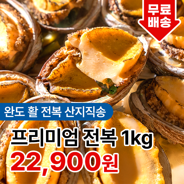 전라도청년 국산 완도 활 전복 1kg