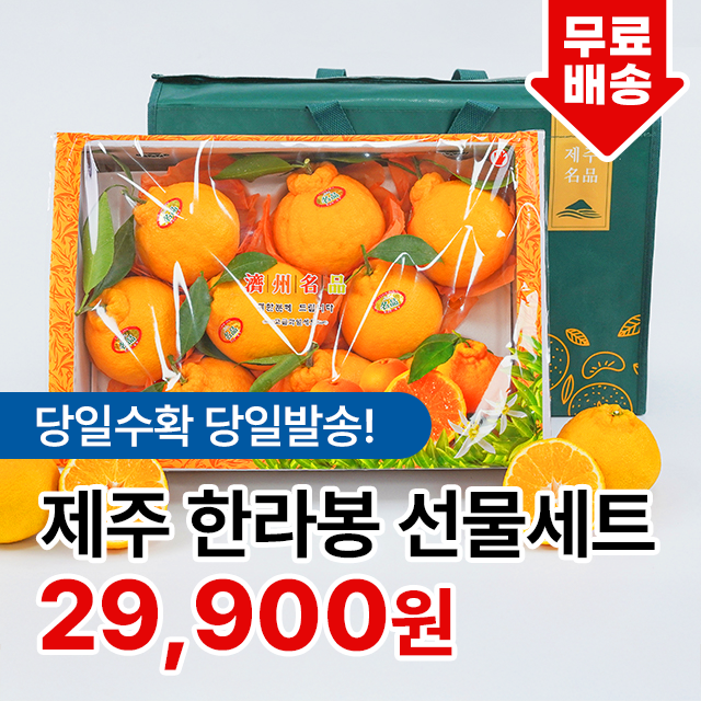 [제주직송] 당일수확 당일발송 로얄과 한라봉 선물세트
