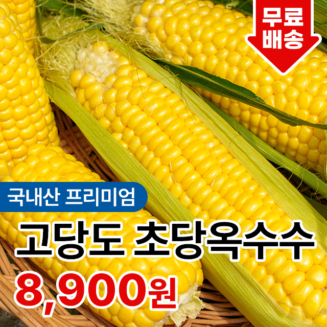 [전청 프레시] 고당도 과즙! 달콤아삭 프리미엄 초당 옥수수