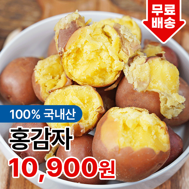 갓 수확한  포슬포슬 카스테라 홍감자 햇감자