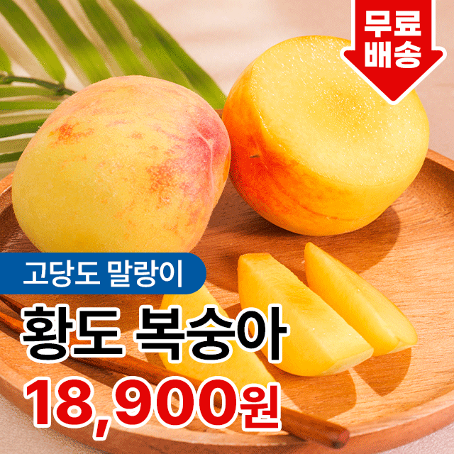 물복의 정석 달콤한 고당도 말랑이 황도 복숭아