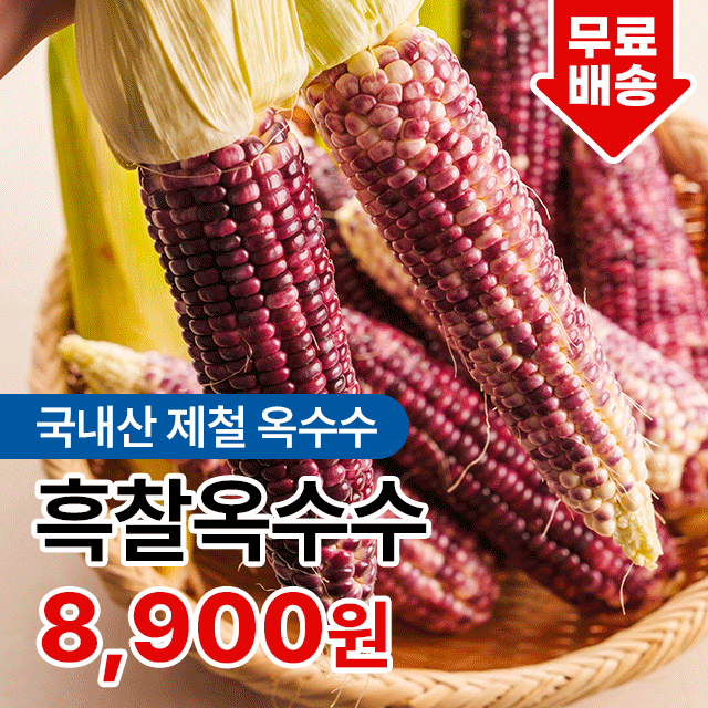 [전청 프레시] 지금만 맛볼 수 있는 쫀득 달콤 햇 흑 찰옥수수